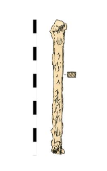 nail, iron