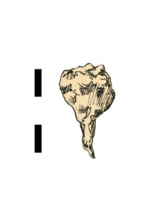nail, iron, fragment