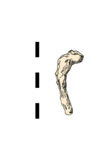 hook, iron