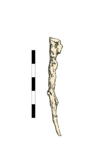 nail, iron