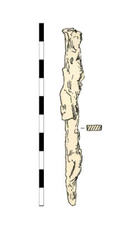 nail, iron