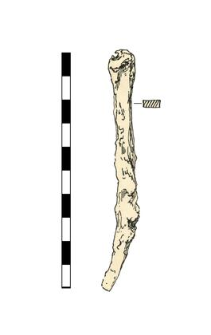 nail, iron