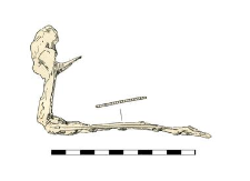 ferrule, iron, fragment