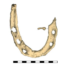 horseshoe, iron
