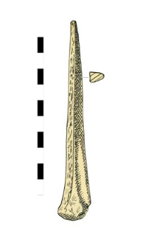 bone, worked