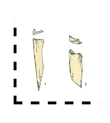 bones with processing traces, fragments
