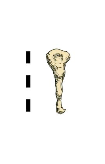item, iron