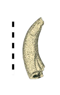 horn, worked