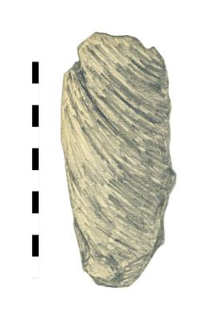 oak's fragment, worked