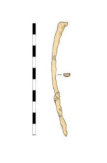 nail, iron
