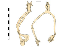spur, iron