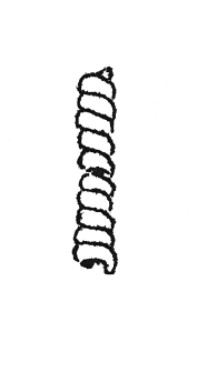 spiral (Żerniki Górne) - metallographic analysis