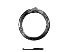 ring (Rzyszczewo) - chemical analysis