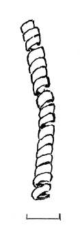 spiral (Żerniki Górne) - chemical analysis