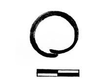 ring (Kołowo) - chemical analysis