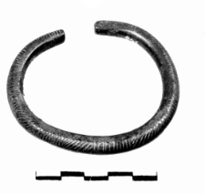 bracelet (Bielkowo) - chemical analysis