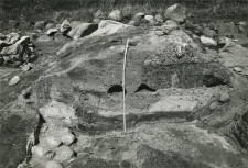 The so-called Mieszko III the Old and Mieszko Mieszkowic tomb, season 1988, cross section