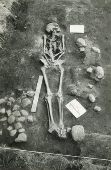Grave 2-88, burial - skeleton