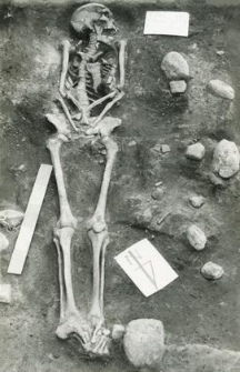 Grave 2-88, burial - skeleton