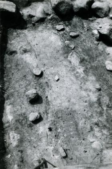 Zarys grobów 3-88 i 4-88, widoczne kamienie fundamentów absydy kolegiaty