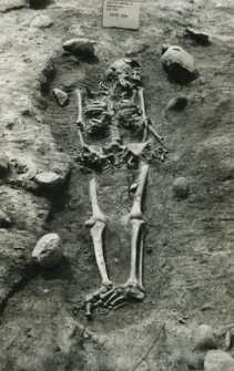 Grave 3-88, burial - skeleton in burial cut