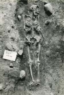Grave 3-88, burial - skeleton in burial cut