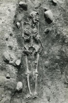 Grave 3-88, burial - skeleton in burial cut