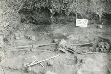 Grave 2-88, inhumation - skeleton, in the burial cut