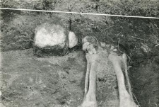 Grave 2-88, inhumation - skeleton, in the grave cut, legs bones
