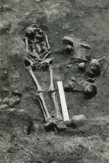 Grave 2-88, inhumation - skeleton, in the grave cut