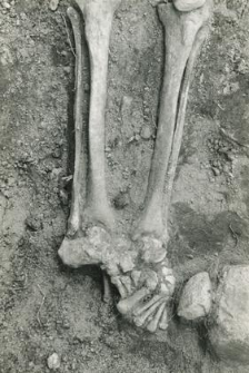 Grób 2-88, pochówek - szkielet, we wkopie grobowym, kości nóg