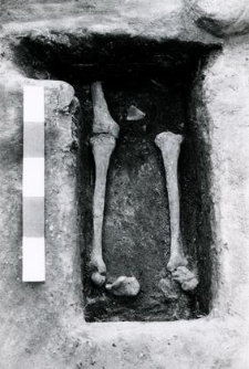 Grave 1-89, legs bones
