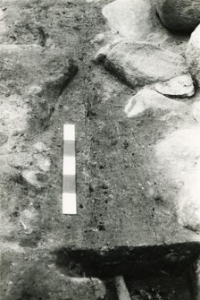 Grave 1-89. Western part before exploration
