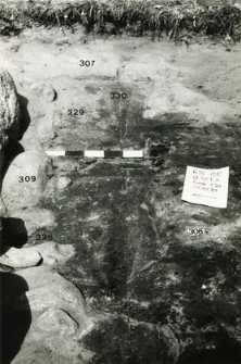 Grób 1-89, zarys wkopu grobowego, widoczne kamienie fundamentu absydy kolegiaty, od zewnątrz