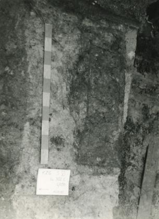 Grave 1-85, coffin countour