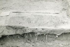 Grave 1-85, coffin countour