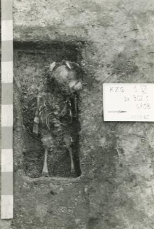 Grave 1-85, burial cut with child skeleton