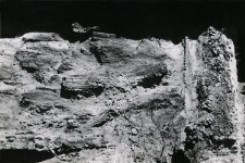 Rampart construction