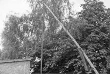 Fragment of a well with a shadoof