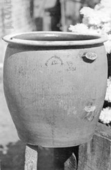 Clay pot