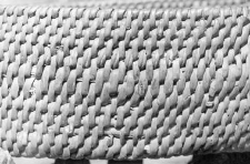 Fragment of a small basket