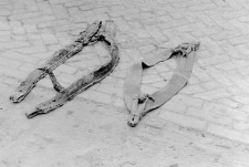 Webbing rein for a horse