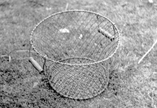 Wire basket