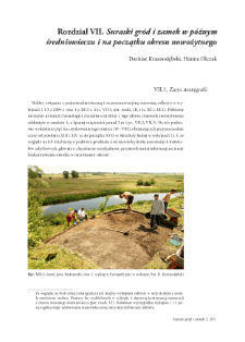 Suraski gr&oacute;d i zamek w p&oacute;źnym średniowieczu i na początku okresu nowożytnego