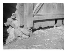 A barn - a sill plate
