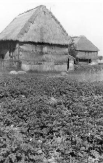 A straw walls barn