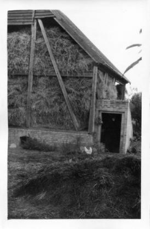 A barns foundation