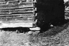 A barn - quoins and a foundation