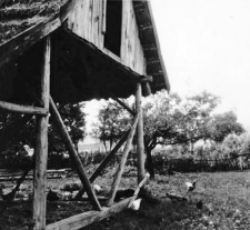 A structure of a half-timbered barn
