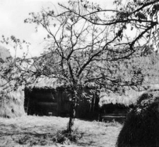 A post-and-plank barn